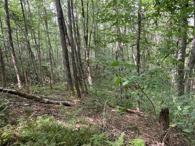Beautiful lot with lake access to park/picnic area. Borders U.S - photo 12