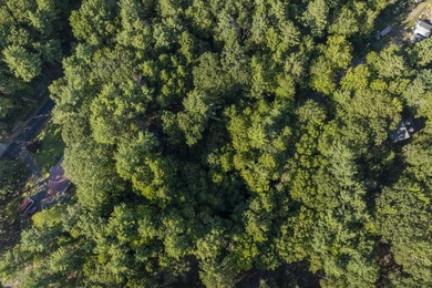 Wooded 1-Acre Lot in Bristol, ME - Build Your Dream Home! Tucked - photo 2