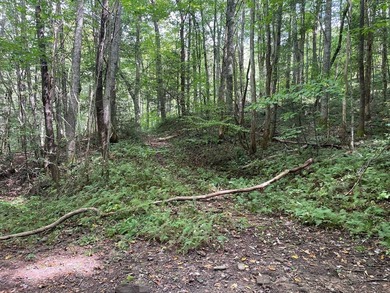 Beautiful lot with lake access to park/picnic area. Borders U.S - photo 13