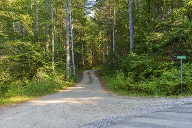 Wooded 1-Acre Lot in Bristol, ME - Build Your Dream Home! Tucked - photo 4