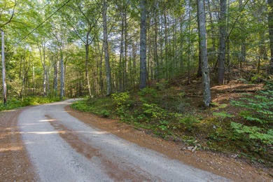 Wooded 1-Acre Lot in Bristol, ME - Build Your Dream Home! Tucked - photo 5