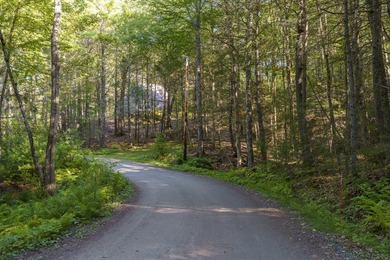 Wooded 1-Acre Lot in Bristol, ME - Build Your Dream Home! Tucked - photo 6