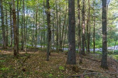 Wooded 1-Acre Lot in Bristol, ME - Build Your Dream Home! Tucked - photo 7