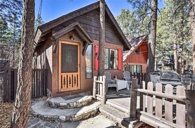 Cozy Rustic Cabin Retreat in Sugarloaf - Your Big Bear Getaway! - photo 17