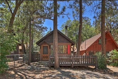 Cozy Rustic Cabin Retreat in Sugarloaf - Your Big Bear Getaway! - photo 18