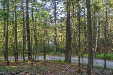 Wooded 1-Acre Lot in Bristol, ME - Build Your Dream Home! Tucked - photo 9