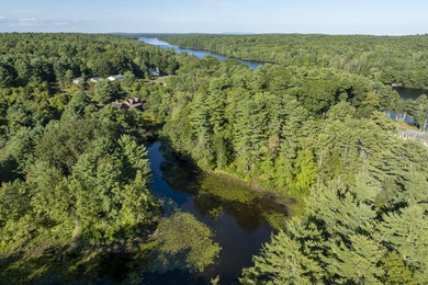 Wooded 1-Acre Lot in Bristol, ME - Build Your Dream Home! Tucked - photo 10