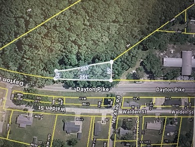 Wooded lot with 251 ft road frontage - photo 1