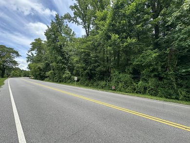 Wooded lot with 251 ft road frontage - photo 2