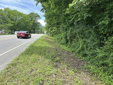 Wooded lot with 251 ft road frontage - photo 4