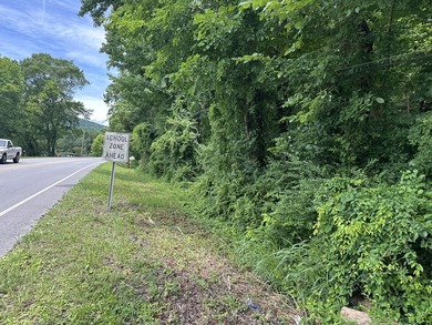 Wooded lot with 251 ft road frontage - photo 5