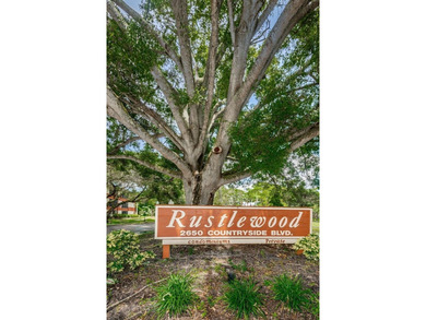 Location, location! Walk to Countryside Mall, restaurants, shops - photo 17