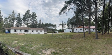 Lake Home For Sale in Atlanta, Michigan