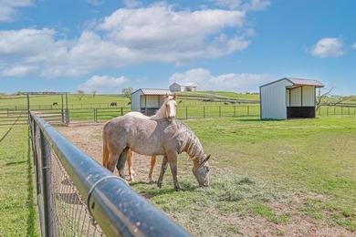 Step into luxury combined with equesterian and agricultural - photo 2