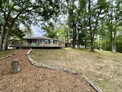 Lake Home For Sale in Atlanta, Michigan