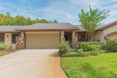 Lake Home For Sale in Tampa, Florida