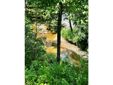 Experience refined mountain living in this warmly appointed - photo 20