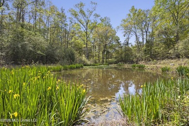 Charming 2-bedroom, 2-bath home on 7.55 acres, built in 2025 - photo 28
