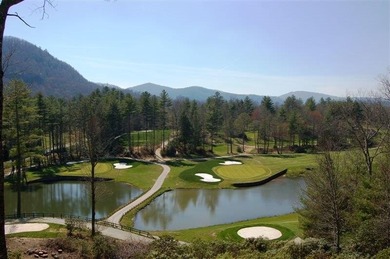 Experience refined mountain living in this warmly appointed - photo 33