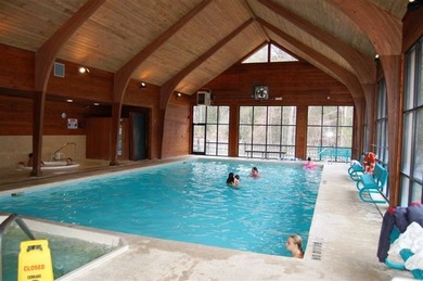 Experience refined mountain living in this warmly appointed - photo 37
