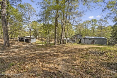 Charming 2-bedroom, 2-bath home on 7.55 acres, built in 2025 - photo 38