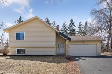 Fish Lake - Hennepin County Home For Sale in Maple Grove Minnesota