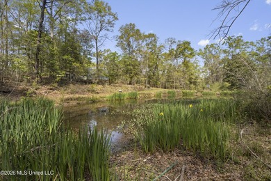 Charming 2-bedroom, 2-bath home on 7.55 acres, built in 2025 - photo 42