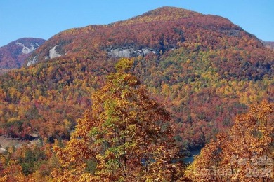 AMAZING, UP-CLOSE, 180 DEGREE VIEWS OF LAKE LURE, CHIMNEY ROCK & - photo 4