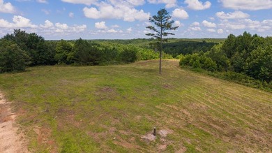 Nestled in the scenic hills of Stewart County, this property - photo 1