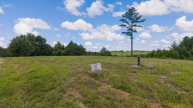 Nestled in the scenic hills of Stewart County, this property - photo 2