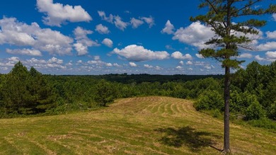 Nestled in the scenic hills of Stewart County, this property - photo 3