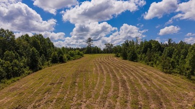 Nestled in the scenic hills of Stewart County, this property - photo 4