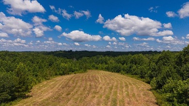 Nestled in the scenic hills of Stewart County, this property - photo 5