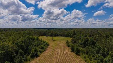 Nestled in the scenic hills of Stewart County, this property - photo 6