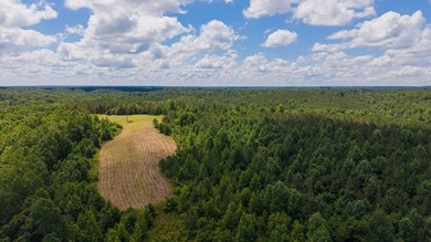 Nestled in the scenic hills of Stewart County, this property - photo 7