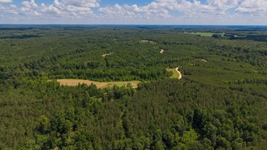 Nestled in the scenic hills of Stewart County, this property - photo 9