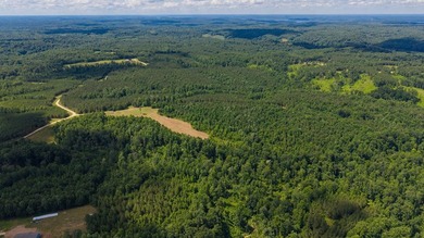 Nestled in the scenic hills of Stewart County, this property - photo 10