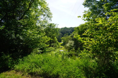 Discover 20 acres of peaceful Tennessee privacy - photo 2