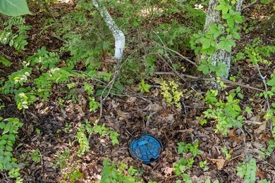 PUBLIC WATER AVAILABLE AT THE ROAD. If you're looking for - photo 7
