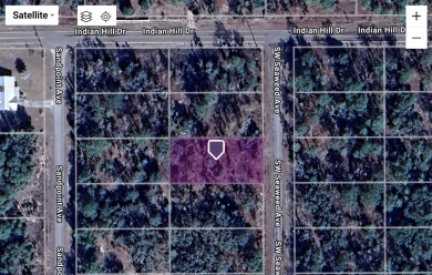 Bonable Lake Lot For Sale in Dunnellon Florida