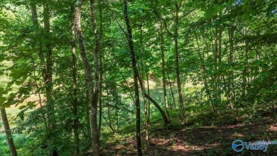 This custom-built 2023 home is perfectly nestled on 8 secluded - photo 32