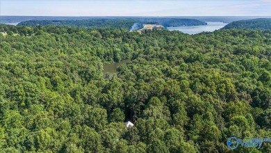 This custom-built 2023 home is perfectly nestled on 8 secluded - photo 41