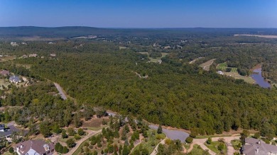 Lake Maumelle Acreage For Sale in Roland Arkansas