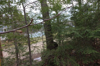 (private lake, pond, creek) Lot For Sale in Milton New Hampshire