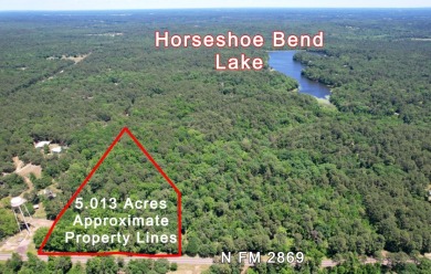 Lake Acreage For Sale in Winnsboro, Texas