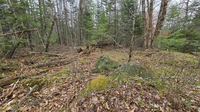 Welcome to your private slice of Midcoast Maine! Nestled on 4.5 - photo 3