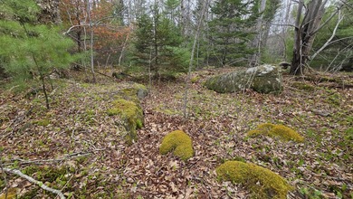 Welcome to your private slice of Midcoast Maine! Nestled on 4.5 - photo 4