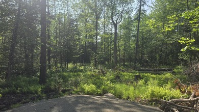 Welcome to your private slice of Midcoast Maine! Nestled on 4.5 - photo 5