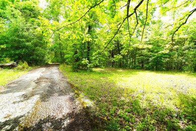Discover 20 acres of peaceful Tennessee privacy - photo 15