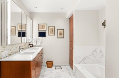 Dream location, dream layout, dream view in South Waterfront's - photo 24